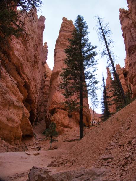 istock Bryce Canyon view in autumn 1843330493