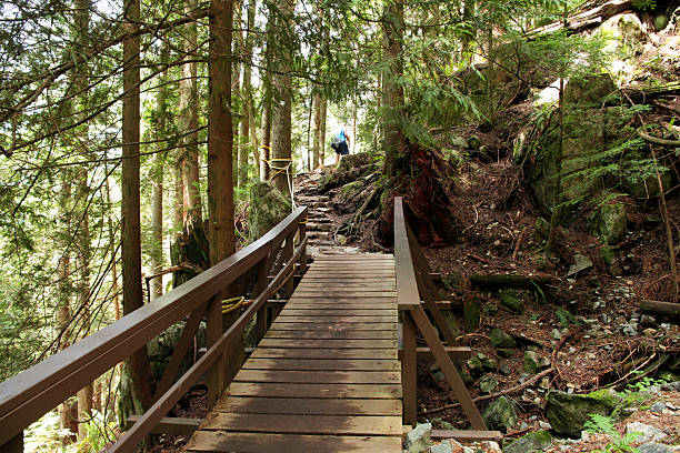 Mountain Path with bridge in Vancouver, BC "Hiking up Grouse Mountain near Vancouver, British Columbia, Canada.  Some parts of the path have stairs nailed to the roots of trees." grouse stock pictures, royalty-free photos & images