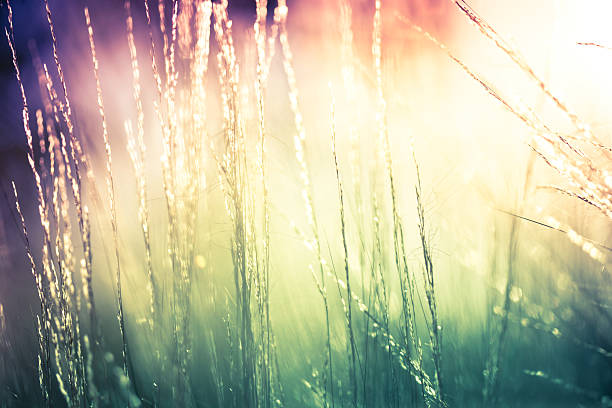 istock Abstract wallpaper image of some beautiful nature 184334327