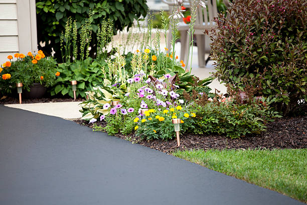 Driveway and entryway Pretty garden and entryway next to the paved driveway. driveway stock pictures, royalty-free photos & images