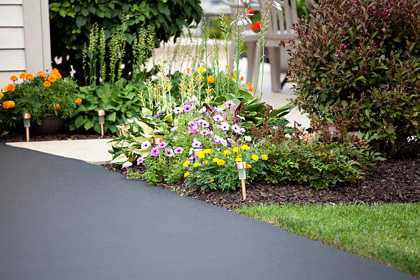 podjazd i entryway - driveway zdjęcia i obrazy z banku zdjęć