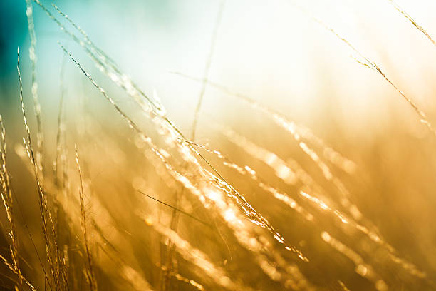istock Beautiful colors of autumn 184334551
