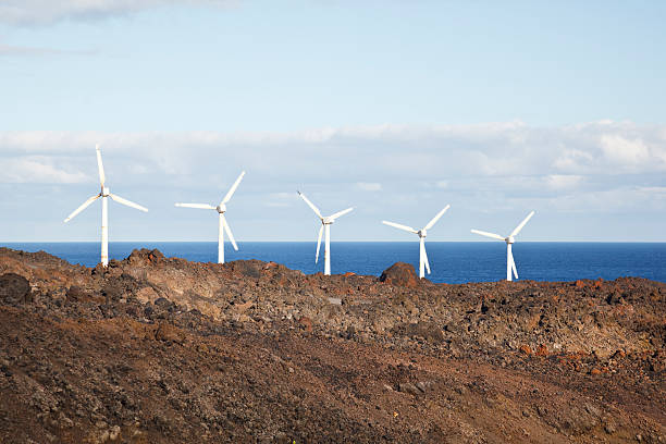 Wind turbine farm in Canary islands