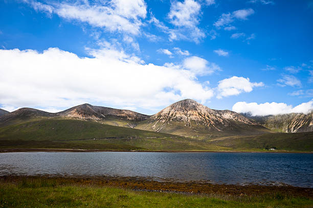 Loch Lurgainn, Coigach, Scotland, looking over a spiky gorse bush towards the pointed top of Cioch Beinn an Eoin and the distant Sgorr Tuath.