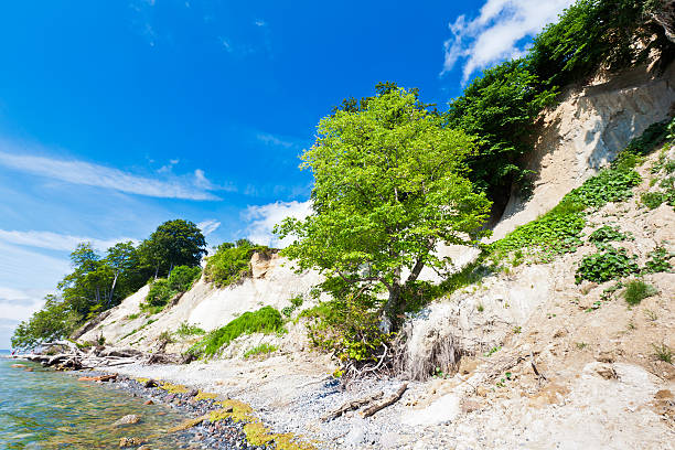 litoral do mar báltico - rugen island baltic sea germany white cliffs - fotografias e filmes do acervo