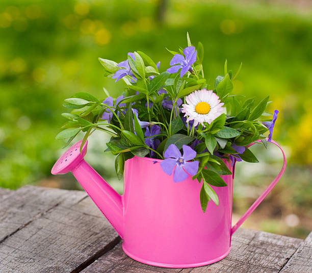 istock Flowers in garden 184336041