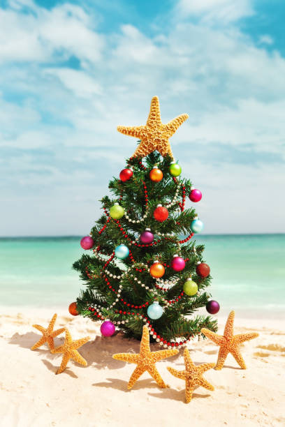 istock Christmas Tree and Star Fish Winter Vacation on Caribbean Beach 184336372