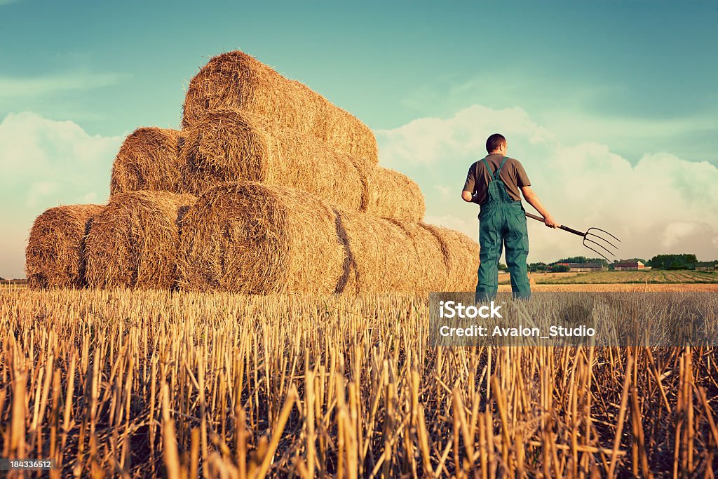 Farmer - 로열티 프리 건초-재배 식물 스톡 사진