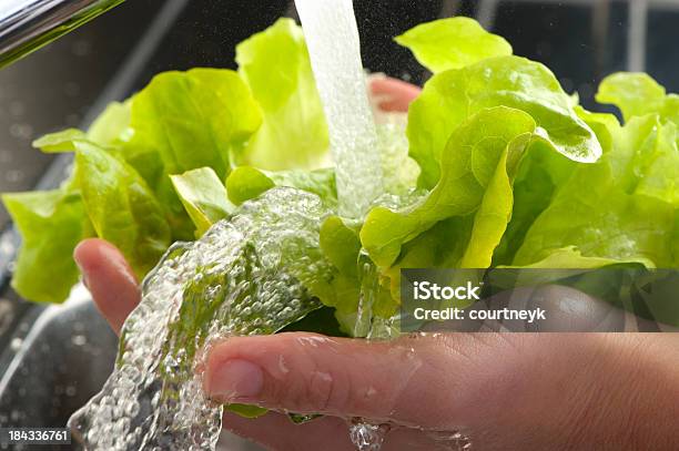 Womans Hände Waschen Salat Blätter Stockfoto und mehr Bilder von Waschen - Waschen, Salat - Blattgemüse, Gemüse