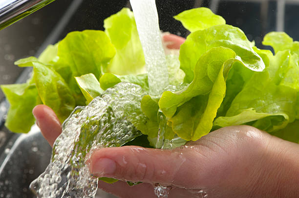 Womans hands washing lettuce leaves Womans hands washing lettuce leaves in a kitchen sink cleaning stove domestic kitchen human hand stock pictures, royalty-free photos & images
