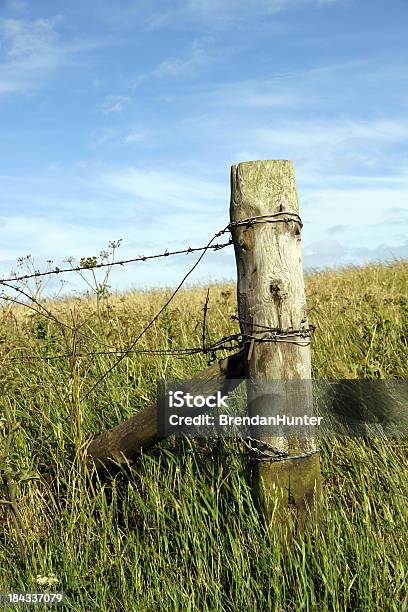 Fine Della Parete - Fotografie stock e altre immagini di Ambientazione esterna - Ambientazione esterna, Bianco, Campo