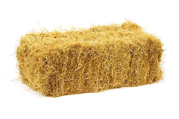 Golden square haybale isolated on white. They have always been known as square haybales in the agricultural community even though the sides are rectangular in shape. There are companion images: