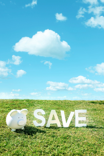 Save with piggybank - grass and sky
