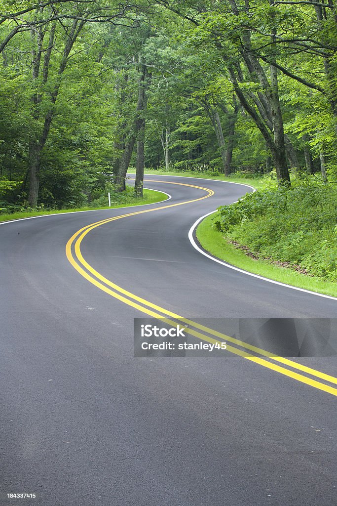 ・Skyline Drive 、ブルーリッジ山脈、バージニア州シェナンドー国立森林公園 - アスファルトのロイヤリティフリーストックフォト