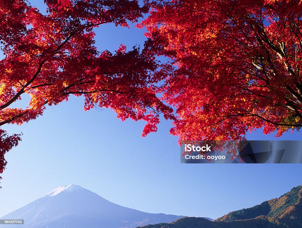 富士山の秋 - イロハモミジのロイヤリティフリーストックフォト