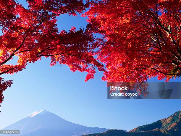 Góra Fudżi W Jesień - zdjęcia stockowe i więcej obrazów Bez ludzi - Bez ludzi, Bezchmurne niebo, Czerwony