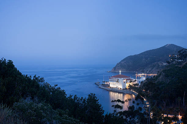 остров каталина - catalina island стоковые фото и изображения