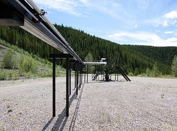 Pipeline - elevated Pipeline at an oil lease site in Alberta Canada.To view my other Oil Industry related images oil wellhead stock pictures, royalty-free photos & images