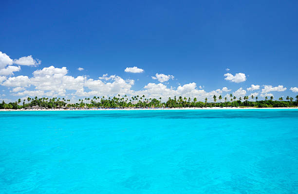 istock Panoramic of clear water and tropical beach with palm trees 184338318