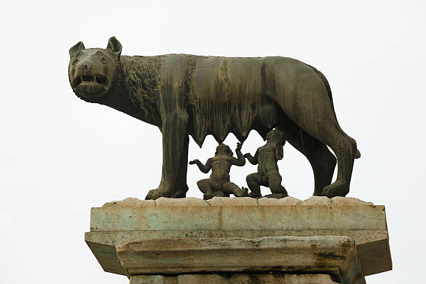 kapitolinische wolf mit romolus und romulus, rom (xxxl - piazza del campidoglio statue rome animal stock-fotos und bilder