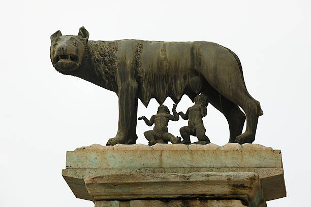 lupo capitolini con romolus e romolo, roma (xxxl - piazza del campidoglio statue rome animal foto e immagini stock