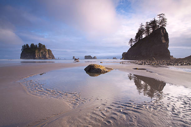 istock Second Beach Sunset, Olympic National Park, W.A 184338818
