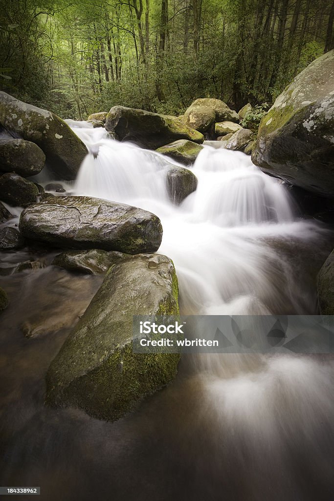 Fundo de madeira escura com riacho com cascata - Foto de stock de Estupefação royalty-free
