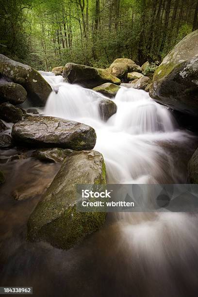 Foto de Fundo De Madeira Escura Com Riacho Com Cascata e mais fotos de stock de Estupefação - Estupefação, Ambiente dramático, Appalachia