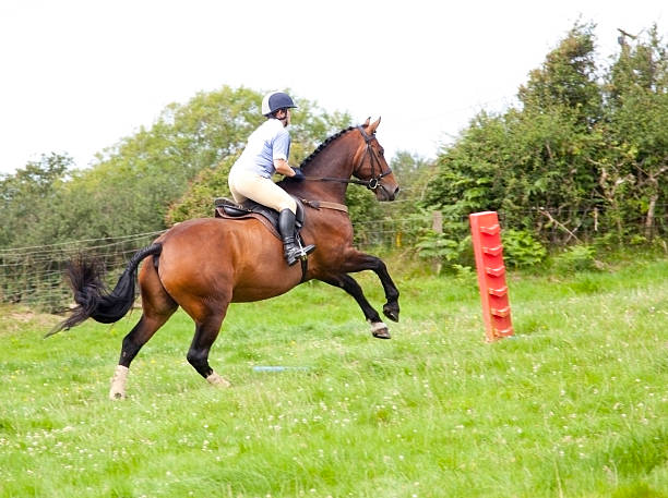 istock girl and horse cantering over poles 184339057