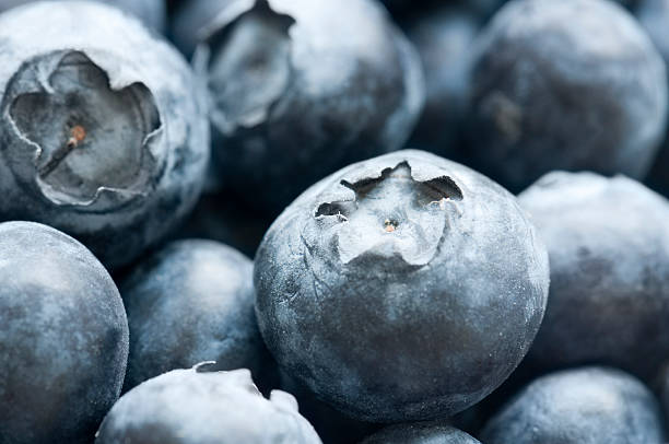 istock Pile of fresh blueberries with selective focus filling frame 184339639