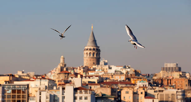 istock The view of Galata Tower 184339788