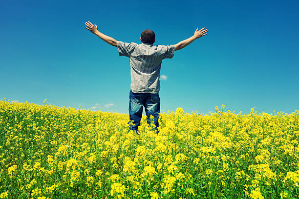 colza e homem - canola field saskatchewan oilseed rape imagens e fotografias de stock