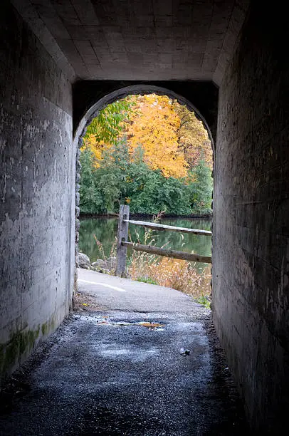Vertical image of Autumn leaves by a lake.  Seen through a pedestrian tunnel. More fall images: