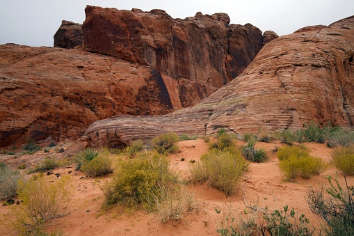 Valley of Fire State Park in Nevada offers spectacular views of colorful rock formations, as well as historic sites and wildlife like Desert Bighorn Sheep.