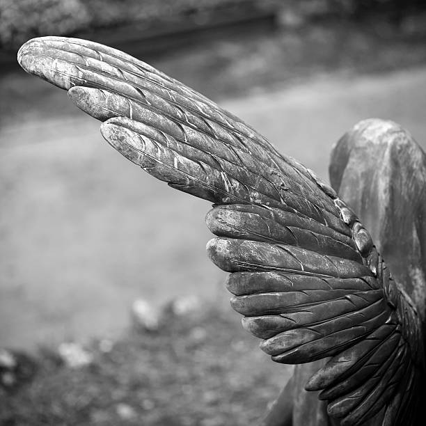 istock Angels wing, part of a statue on an old cemetery 184341428