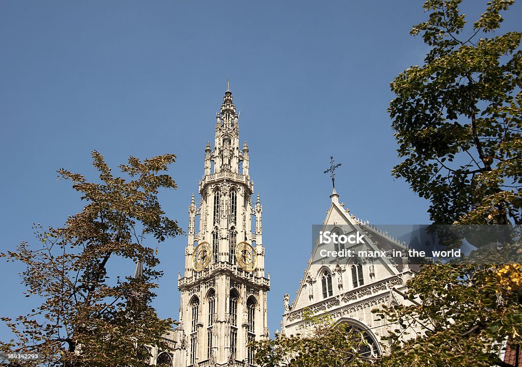 Anvers et la Cathédrale Notre-Dame - Photo de Anvers - Belgique libre de droits