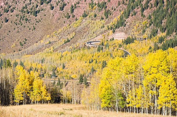 istock Steep Twisting Mountain Highway Road 184342550