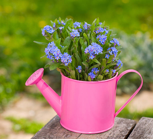 istock Flowers in garden 184342611