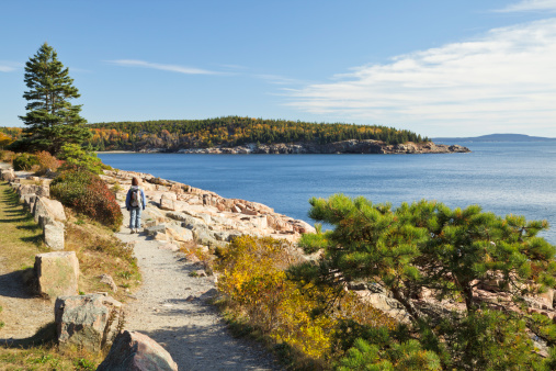 A person walking on Ocean Path, looking at the fall foliage on Great Head; Acadia National Park, Maine.