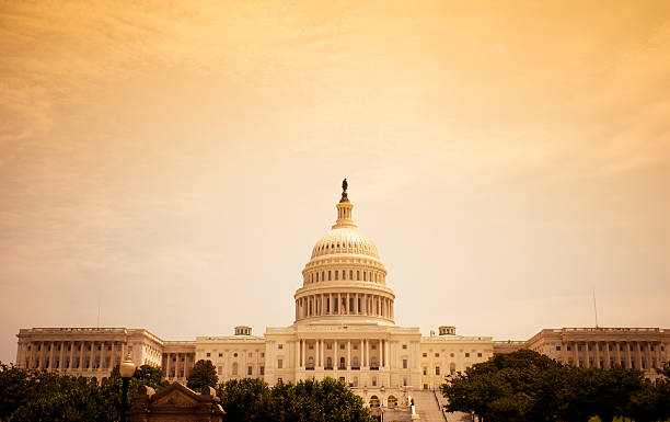 istock The United States Capitol  - Washington DC 184343589