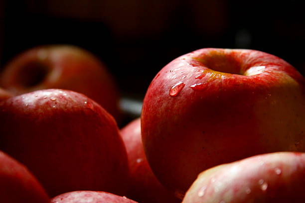 istock Shady Michigan Gala Apples with a Single Tear 184343752