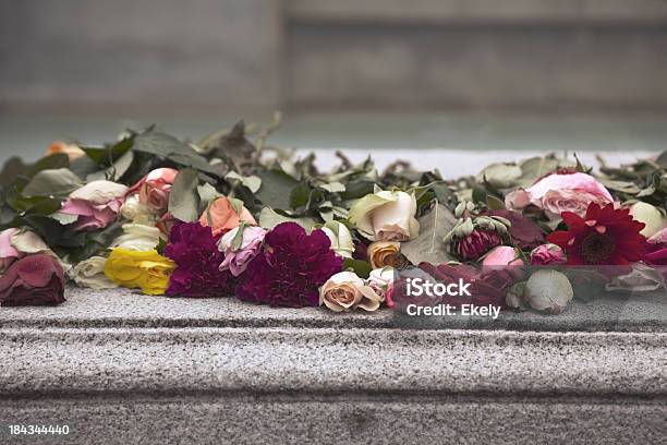 Foto de Rosas Na Parede e mais fotos de stock de Amor - Amor, Beleza, Beleza natural - Natureza