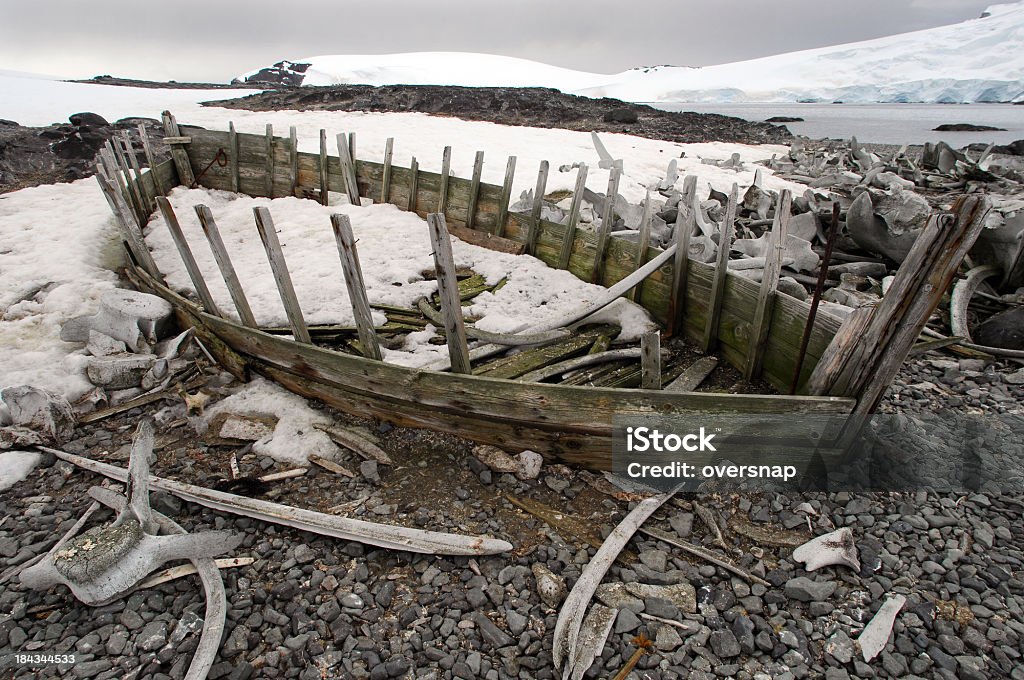 남극 포경 배죠 - 로열티 프리 극지 기후 스톡 사진