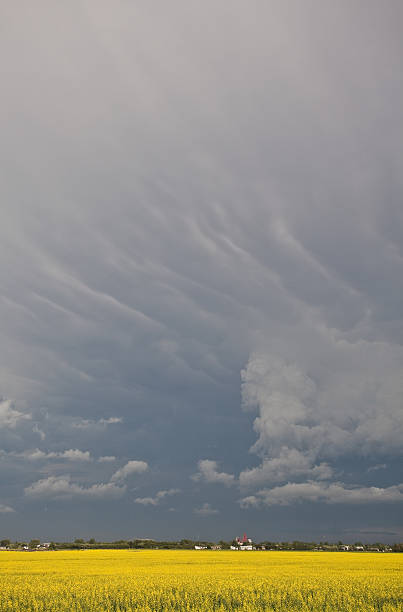 manitoba storm - manitoba canada prairie canola zdjęcia i obrazy z banku zdjęć