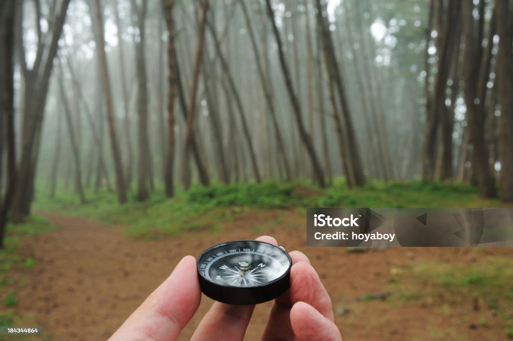 Compass - Foto de stock de Bosque - Floresta royalty-free