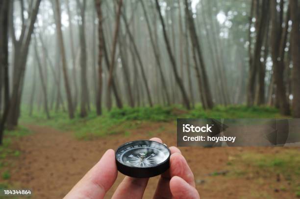 Foto de Compass e mais fotos de stock de Bosque - Floresta - Bosque - Floresta, Bússola, Corrida de orientação