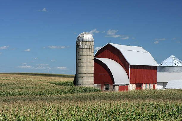 Wiejskich Ameryki Farm i Stodoła – zdjęcie