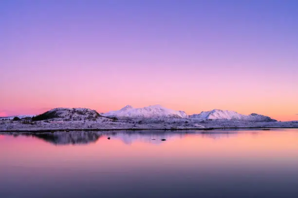 Photo of Snowy mountains, sea bay, reflection in water at sunset in winter. Lofoten islands, Norway. Colorful landscape with rocks in snow, pink sky at twilight. Seashore at dusk. Nature background. Scenery