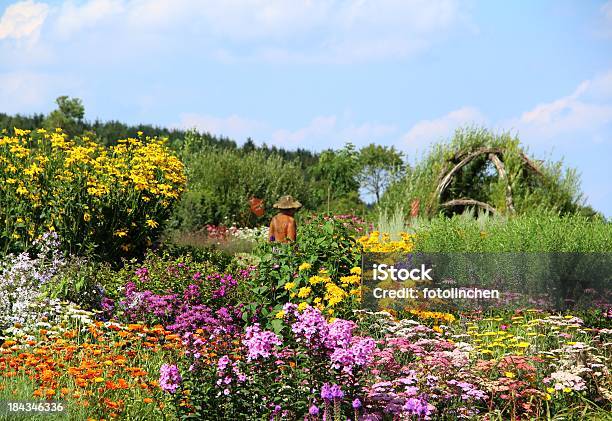 Kräuter Und Blumen Garten Stockfoto und mehr Bilder von Kräutergarten - Kräutergarten, Gartenanlage, Hausgarten