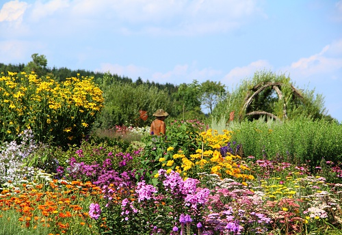 Wonderful herb and flower garden